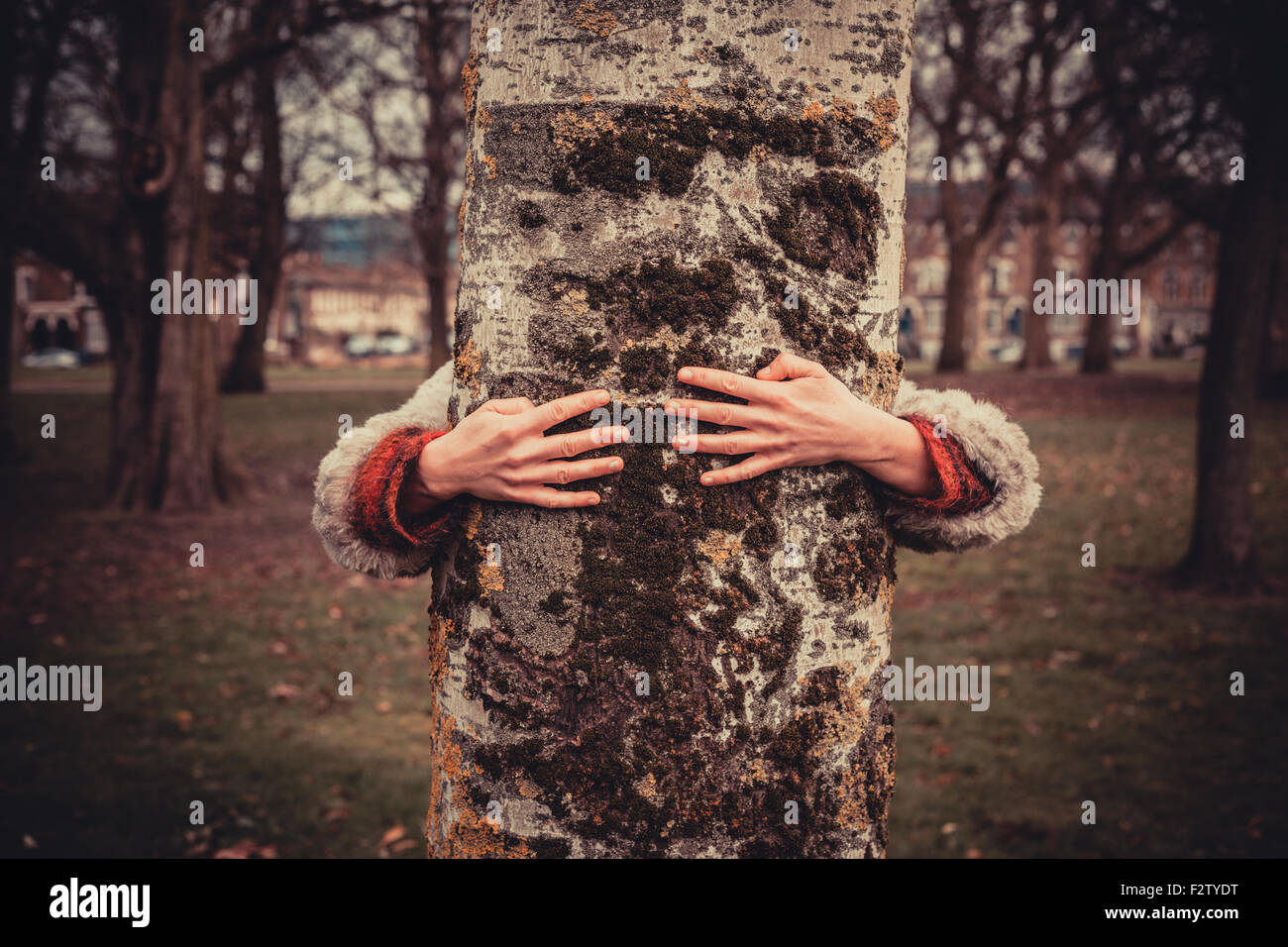 Junge Frau im Park an einem Wintertag und umarmt einen Baum Stockfoto