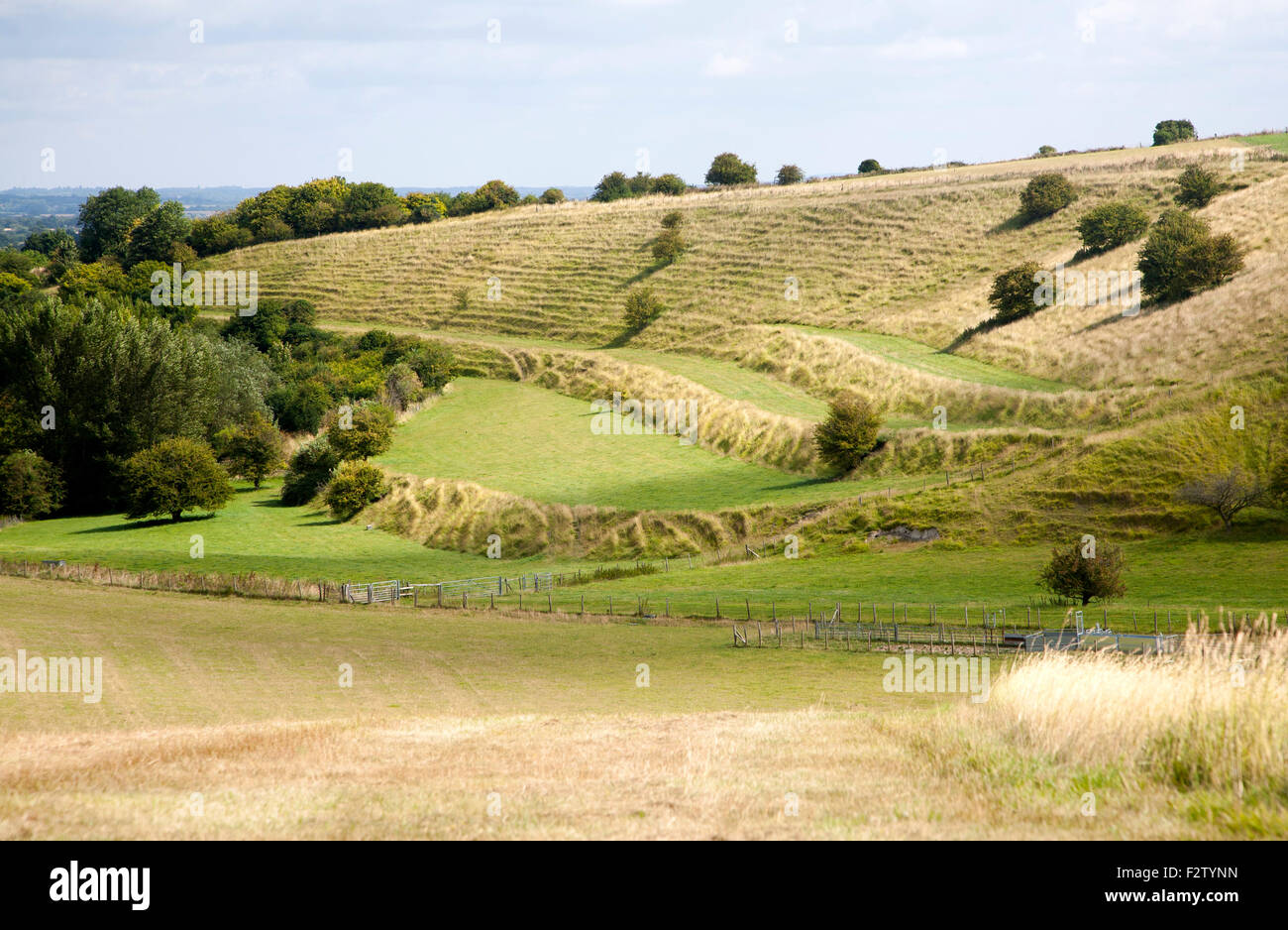 Alten terrassierten Felder bekannt als Streifen Lynchets schneiden in Kreide Böschung Hang bei Bishopstone, Wiltshire, England, UK Stockfoto