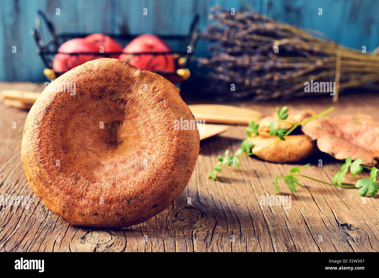 einige Reizker, typisch Herbst Pilz von Spanien, auf einem rustikalen Holztisch Stockfoto