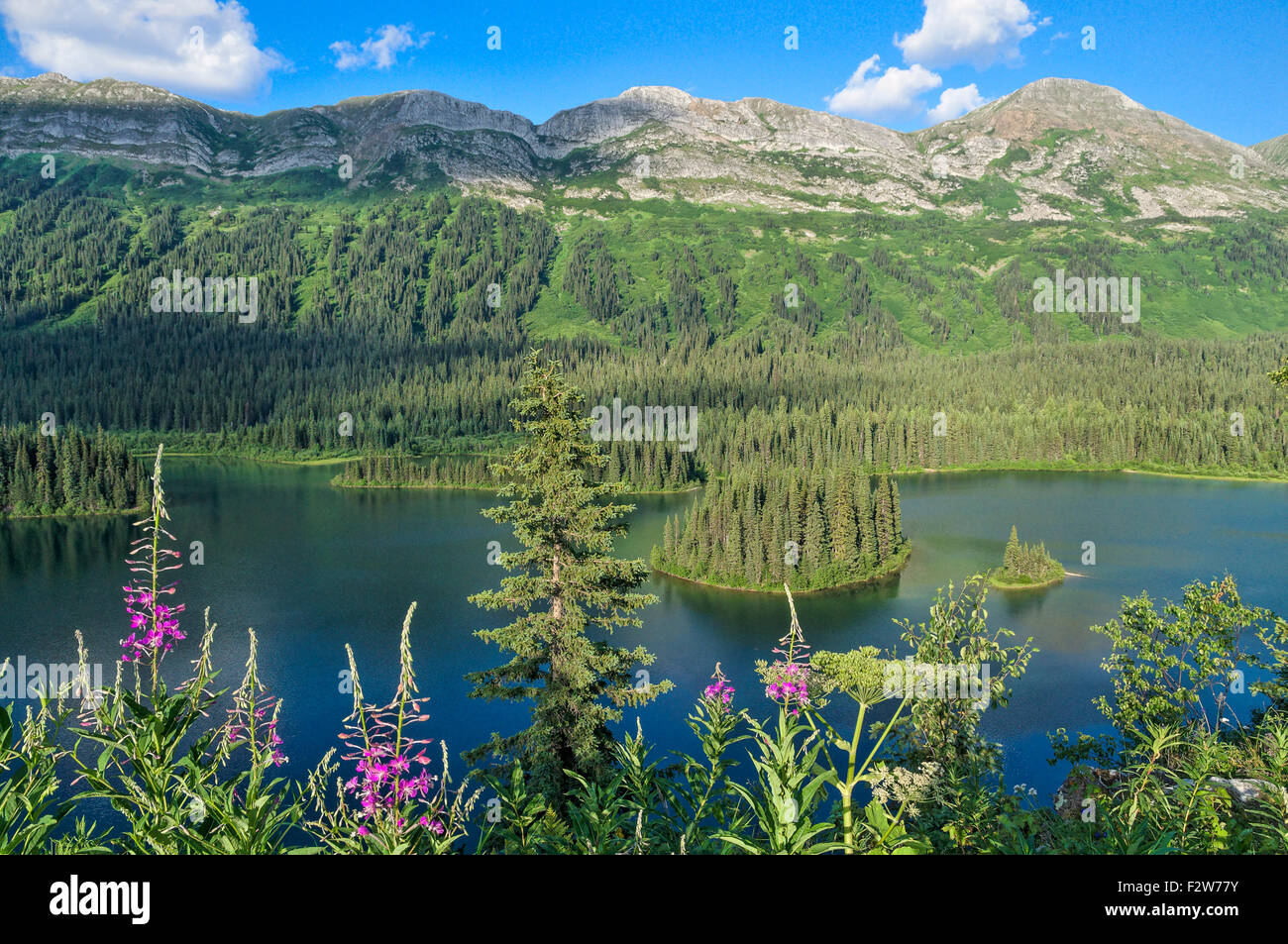 Azouzetta See mit Kiefer Le Morey Provincial Park im Hintergrund, Britisch-Kolumbien, Kanada Stockfoto