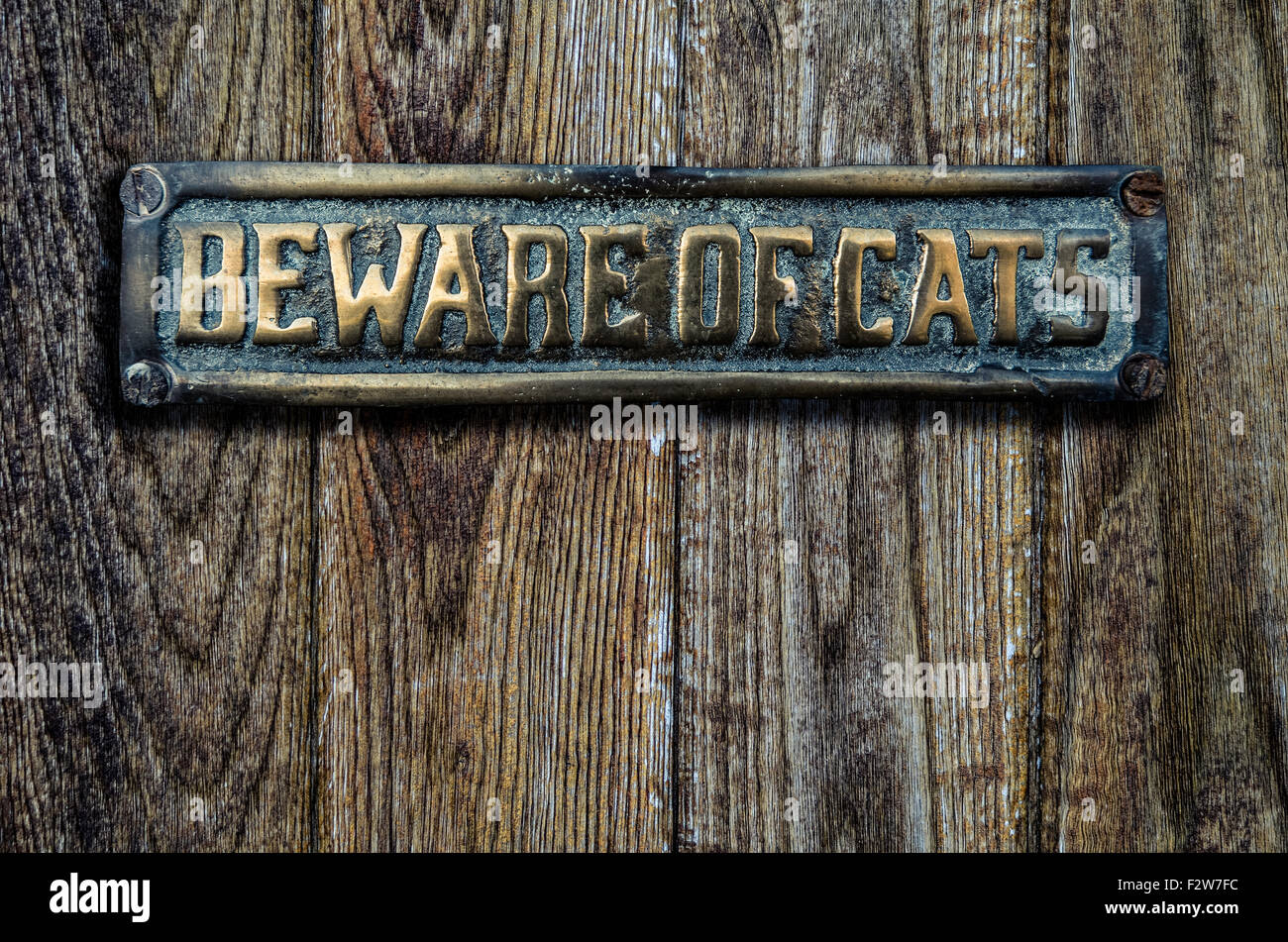 Hüte dich vor Katzen Zeichen auf eine schwere Holztür Stockfoto