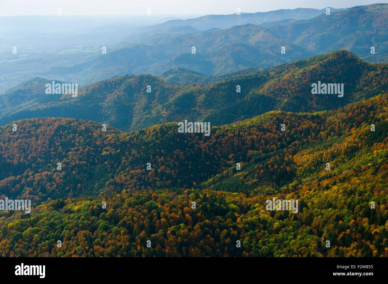 Frankreich, Haut Rhin (68), Wattwiller, Wald im Herbst der Vogesen-Palette  (Luftbild) / / Haut Rhin (68), Wattwiller, massiv Wald Stockfotografie -  Alamy