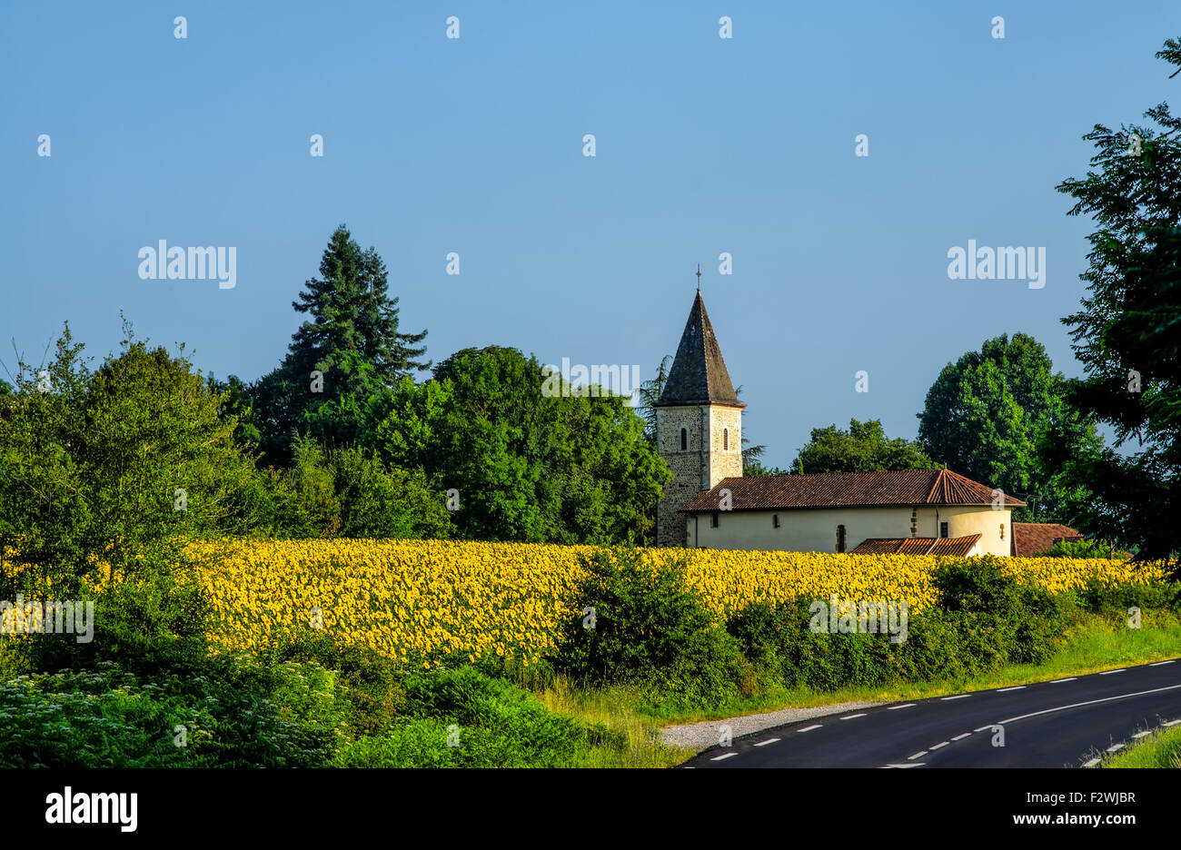 Feld von Sonnenblumen und Kirche in Frankreich. Stockfoto