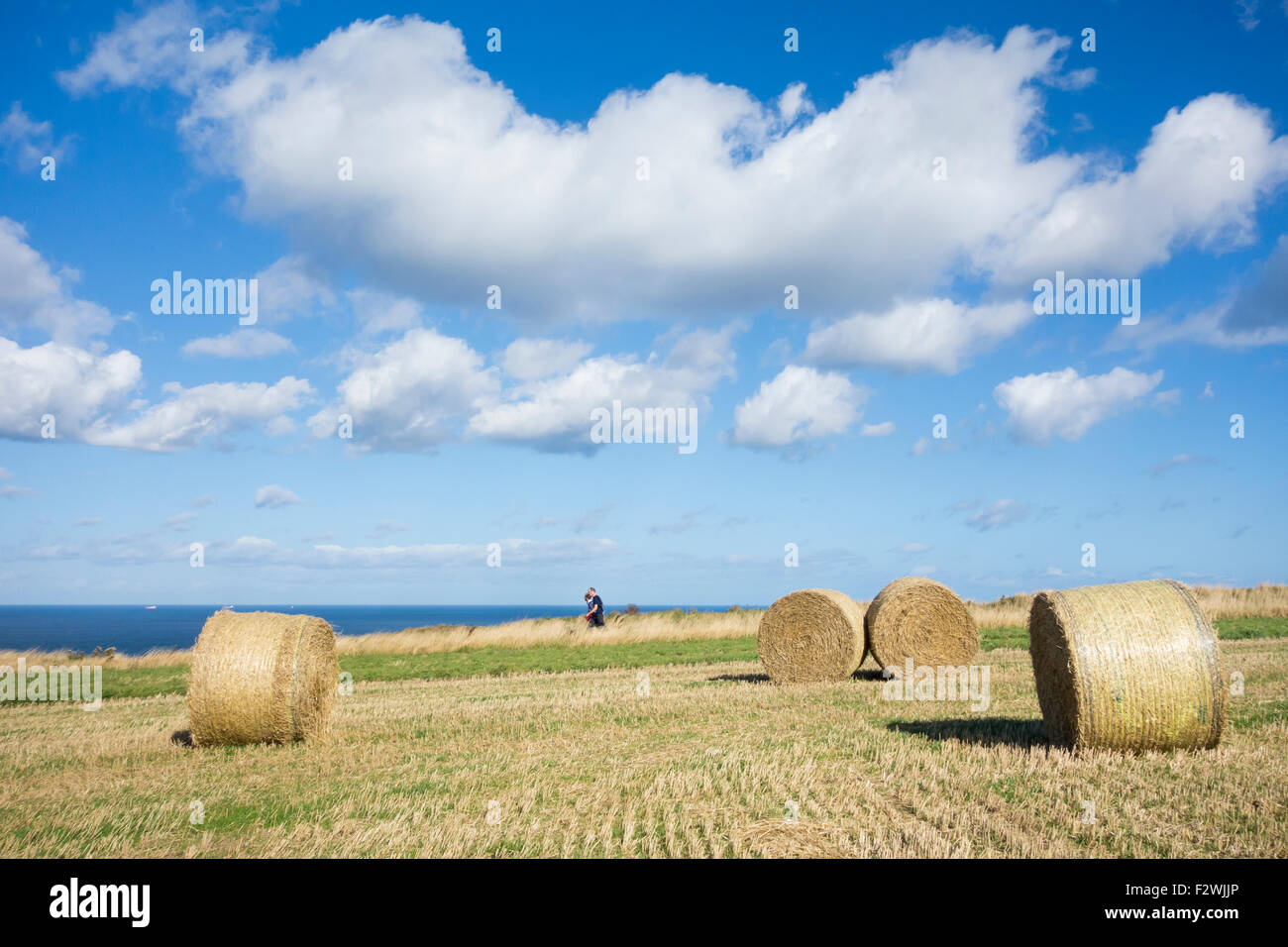 Alan Walker Stockfotos Und Bilder Kaufen Seite 3 Alamy