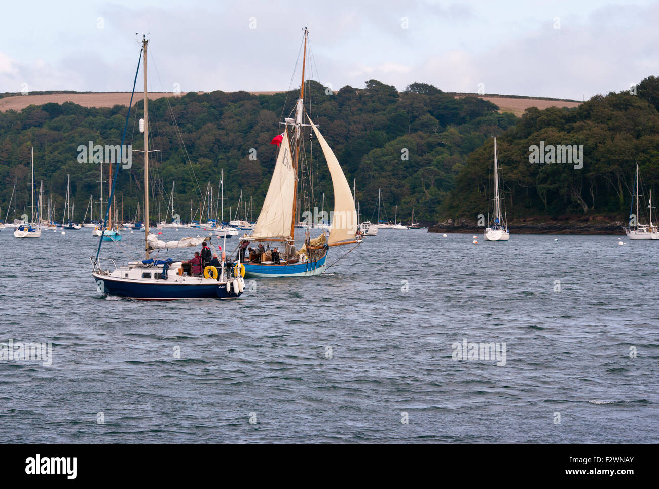 Segel Yachten auf dem Fluss Percuil St Mawes Cornwall England UK Stockfoto