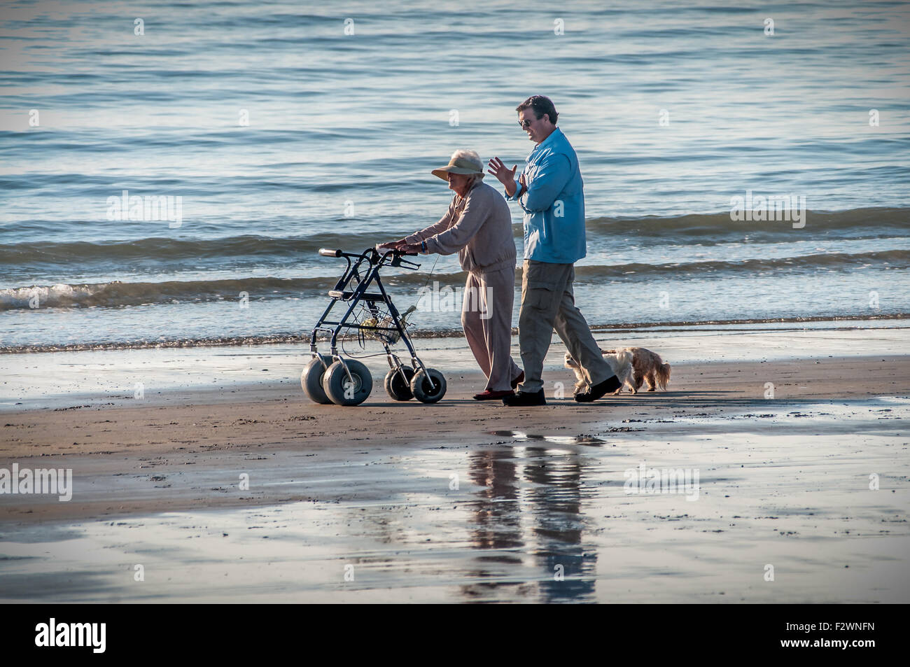 Ehemalige First Lady Barbara Bush, Ehefrau des ehemaligen Präsidenten der U.S.A. George H.W. Bush, ihren zwei Hunden und der Secret Service. Stockfoto
