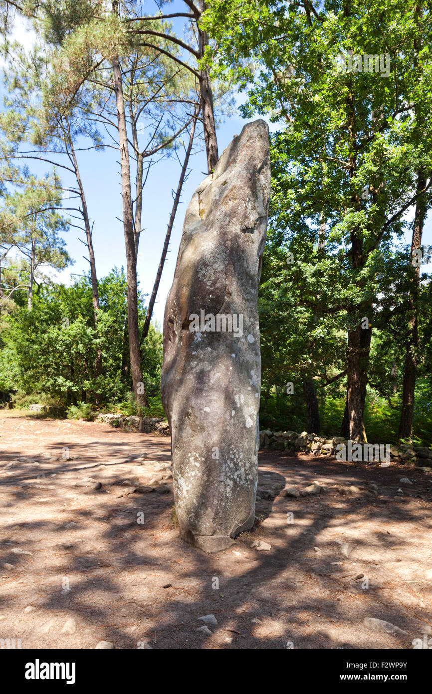 Le Geant du Manio, die größte (6 Meter hoch) aus mehr als 3000 Menhire aus dem Neolithikum in Carnac, Brittanny Stockfoto