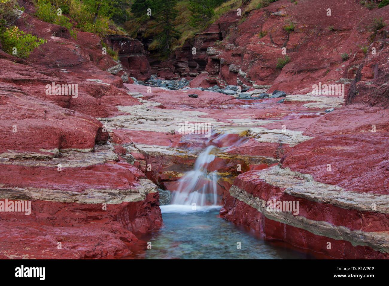 Tonschiefer mineralischen Sedimentschichten in Lost Horse Creek, Red Rock Canyon, Waterton Lakes National Park, Alberta, Kanada Stockfoto