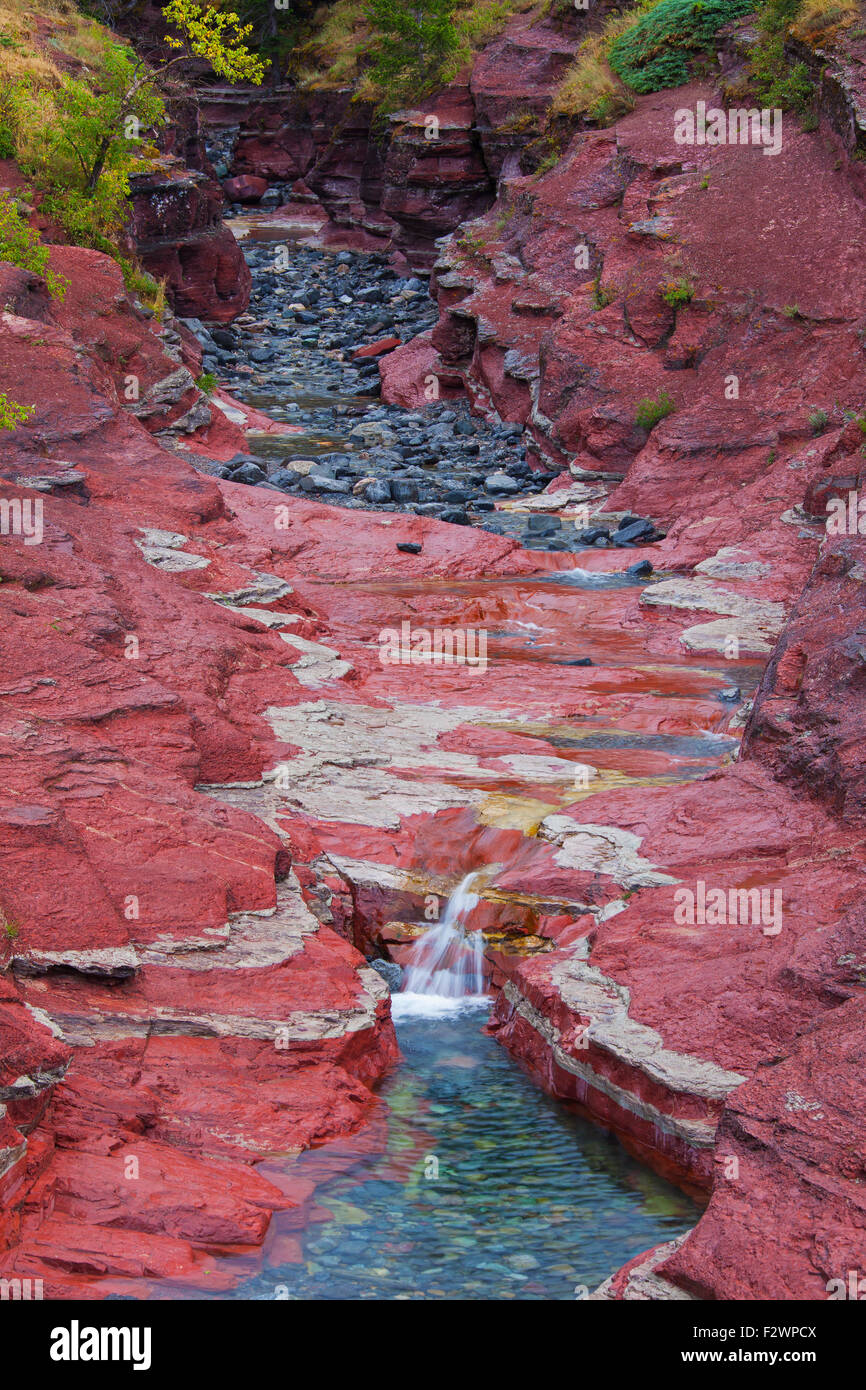 Tonschiefer mineralischen Sedimentschichten in Lost Horse Creek, Red Rock Canyon, Waterton Lakes National Park, Alberta, Kanada Stockfoto
