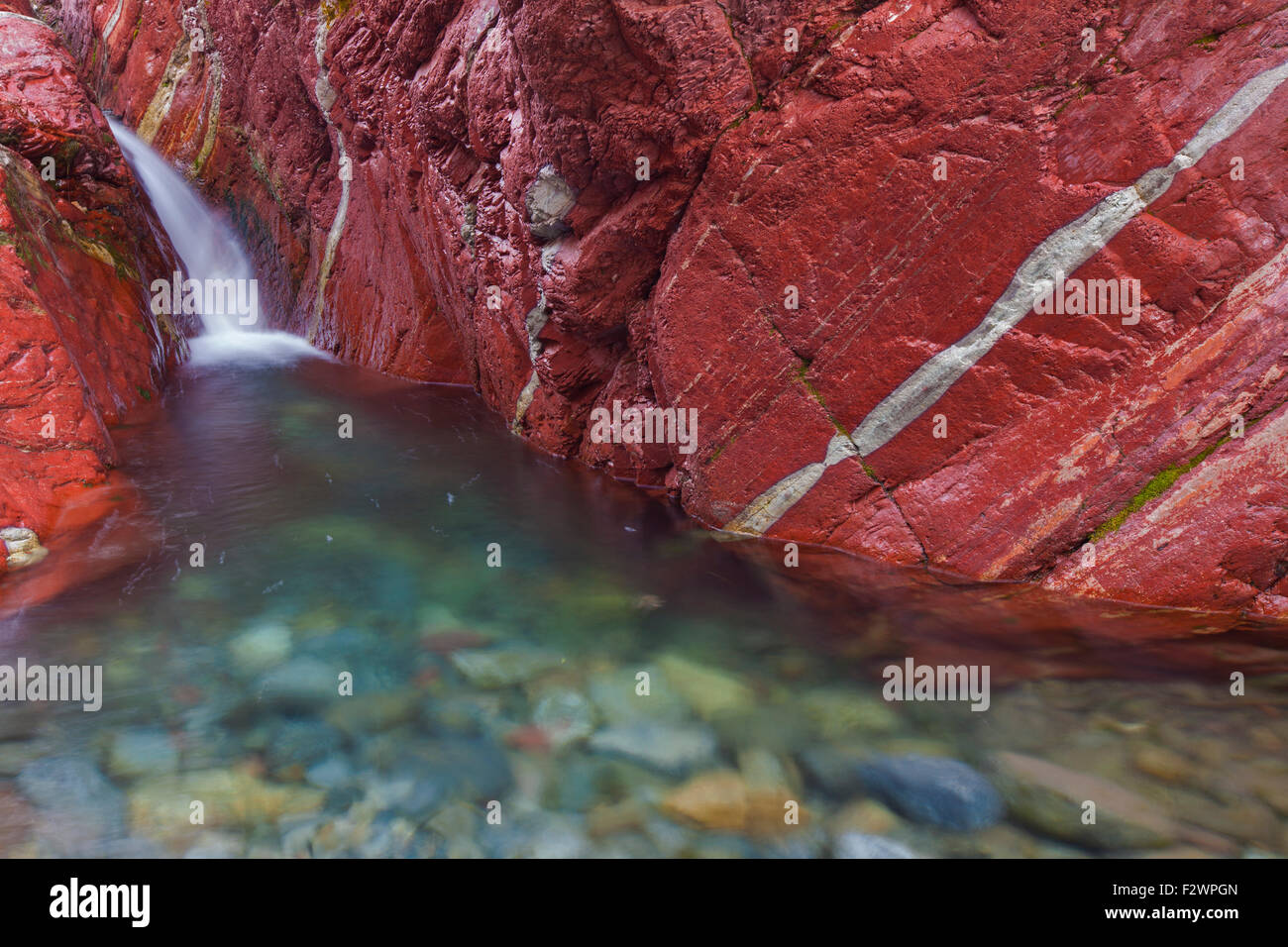 Tonschiefer mineralischen Sedimentschichten in Lost Horse Creek, Red Rock Canyon, Waterton Lakes National Park, Alberta, Kanada Stockfoto