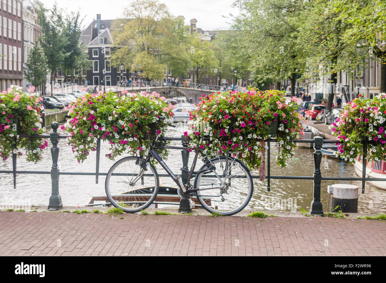 Ein Fahrrad mit Blumen auf einer Brücke über einen Kanal in Amsterdam  Stockfotografie - Alamy