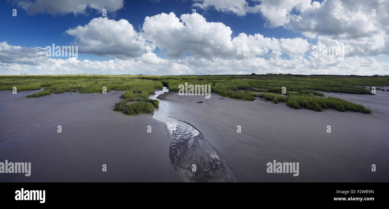 Küstennahe Sümpfen in der Nähe von Steart Punkt. Steart Sümpfe. Somerset. VEREINIGTES KÖNIGREICH. Stockfoto