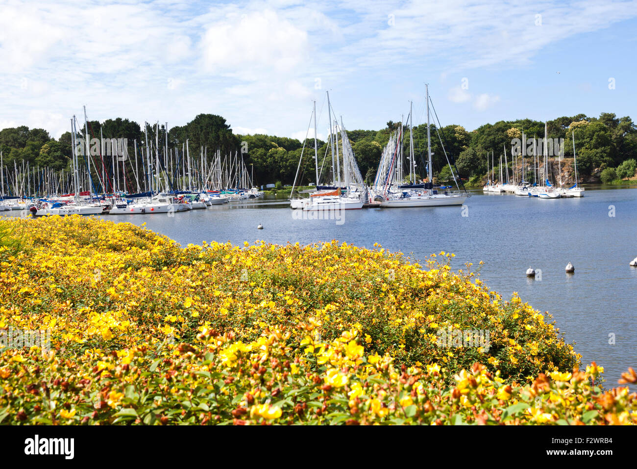 Yachten ankern auf dem Fluss Vilaine bei Arzal, Bretagne, Frankreich Stockfoto