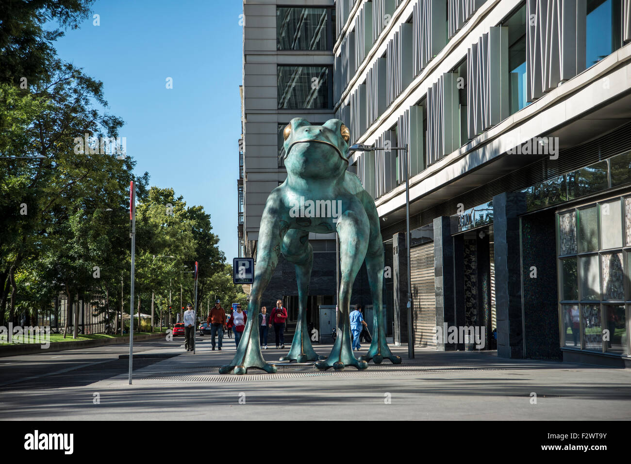 Fortune-Frosch Stockfoto