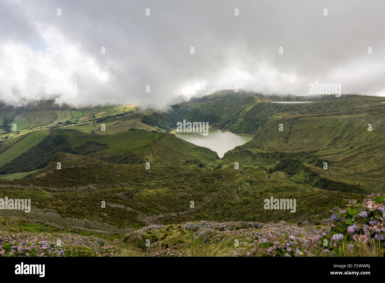 Lagoa Funda Das Lajes und Lagoa Rasa hinter mit Hydrangea Macrophylla, Insel Flores, Azoren Stockfoto