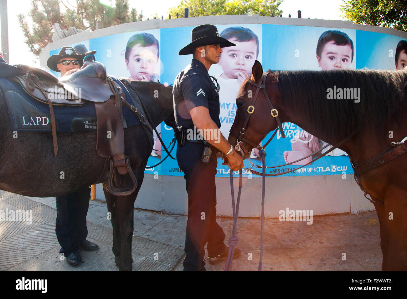 LAPD, Pferdesport Einheit, Venice Beach, Los Angeles, Kalifornien Stockfoto