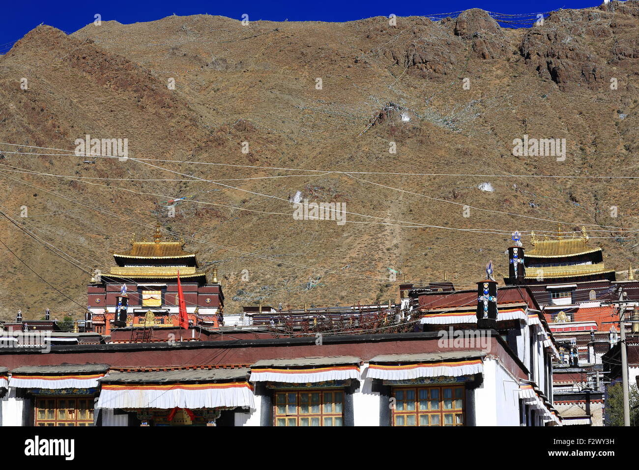 Stoff Dhvajas-Sieg Banner und andere Ashtamangala-Glückssymbole. Dach der Gebäude-Tashilhunpo-Shigatse-Tibet. Stockfoto