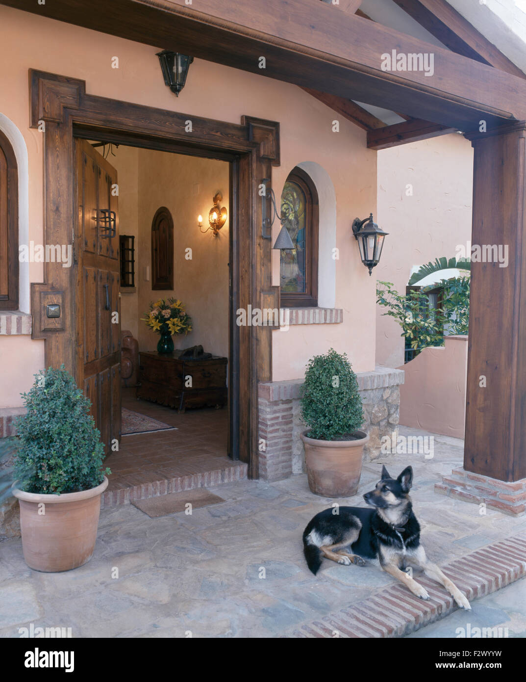 Hund liegend vor abgeschnitten Sträucher in Terrakotta-Töpfe auf beiden Seiten der offenen Tür des spanischen villa Stockfoto