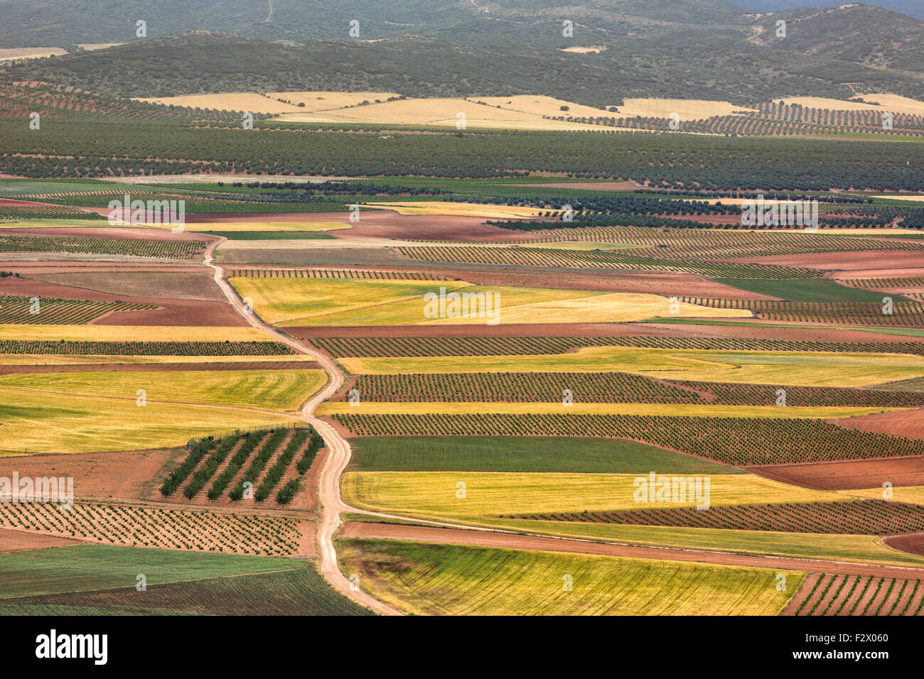 Farbfelder in Kastilien-La Mancha, Spanien Stockfoto