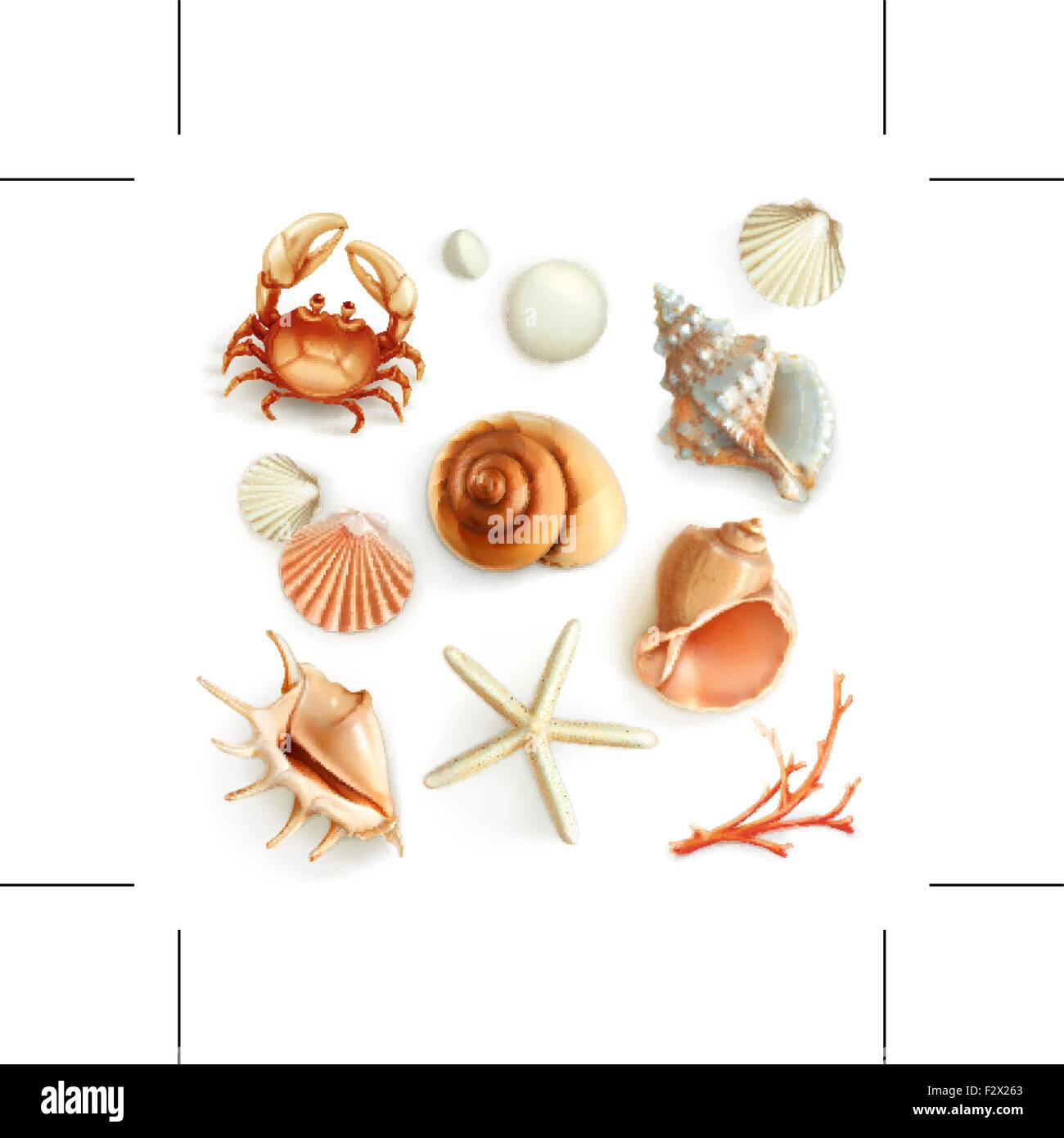 Muscheln, Set Vektor-icons Stock Vektor