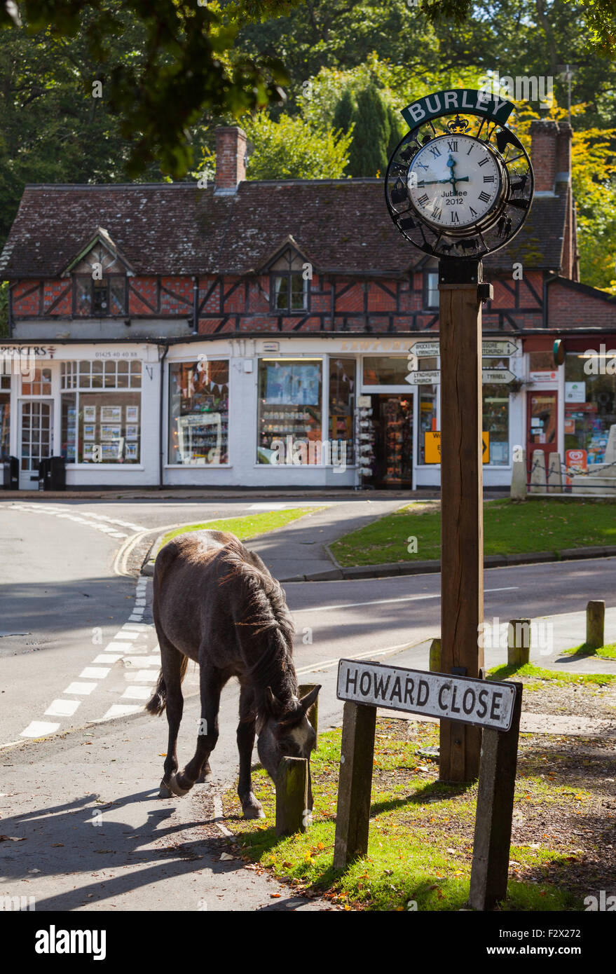 Burley-Dorf im New Forest, Hampshire, UK Stockfoto