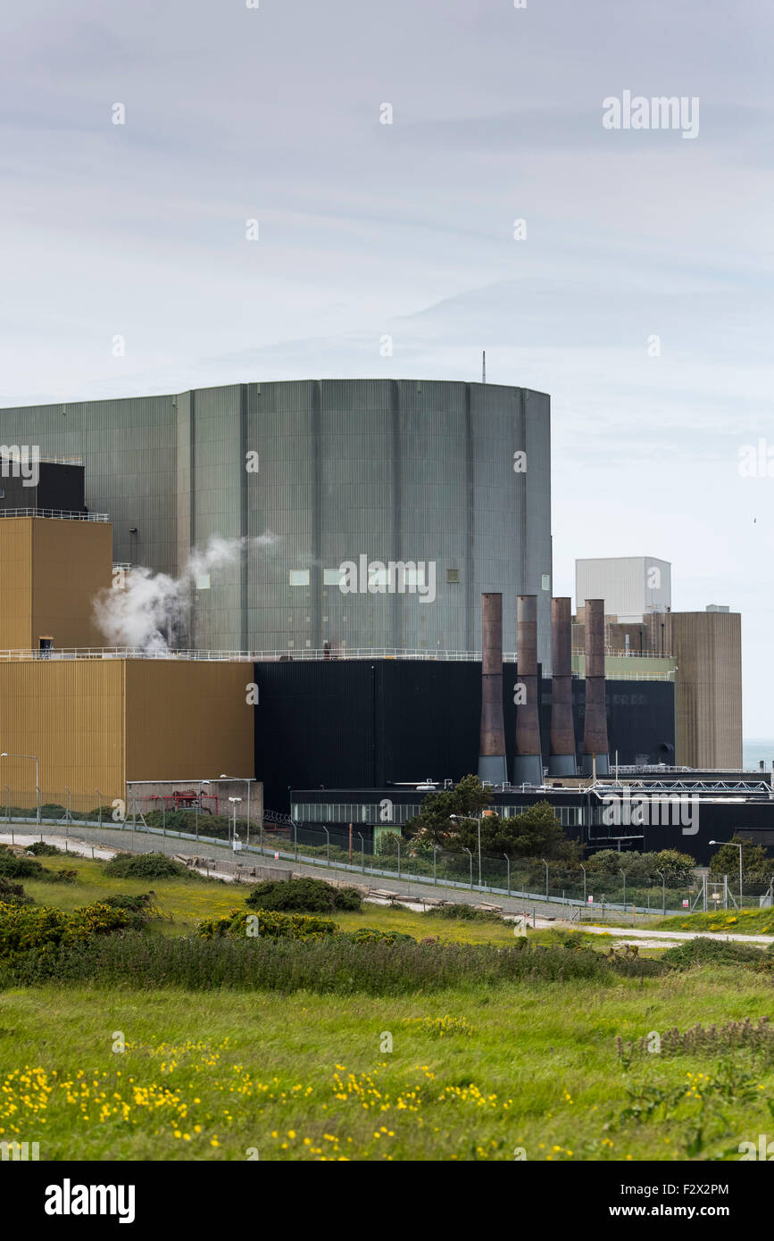 Wylfa Nuclear Power Station in Cemaes Bay am 16. Juni 2015, auf Anglesey, Nordwales. Stockfoto