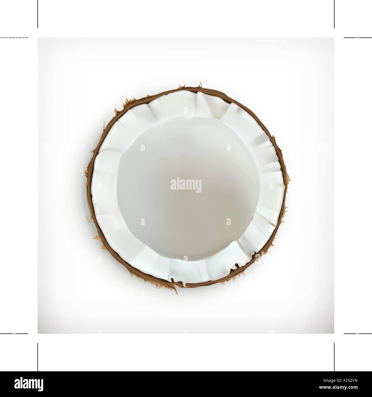 Kokosnuss, Vektor icon Stock Vektor