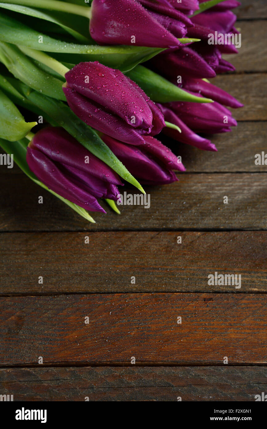 Blumen auf einem Hintergrund von Brettern, Tulpen Stockfoto