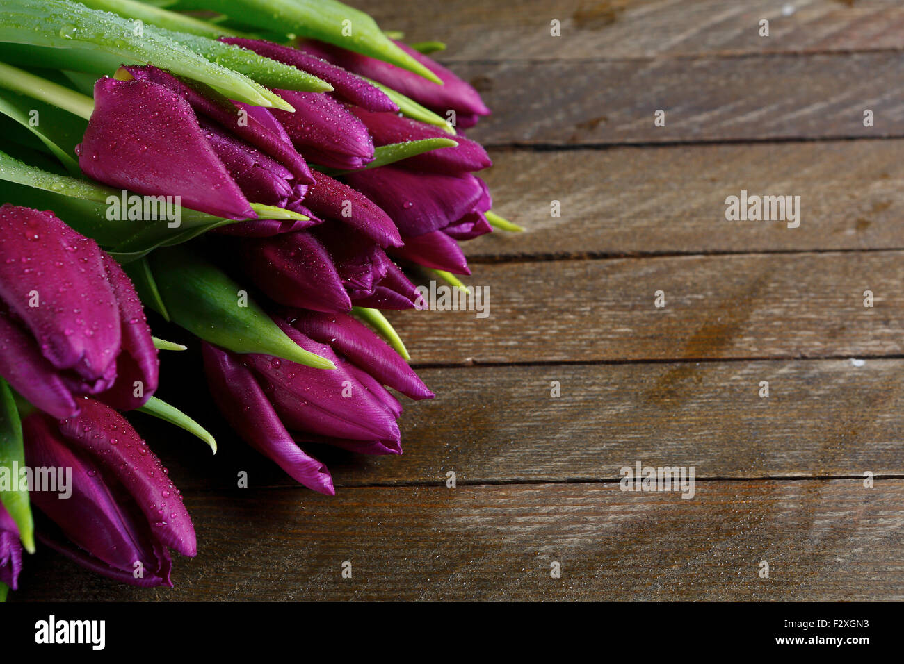 Violette Tulpen auf braun-Boards, Blumen Stockfoto