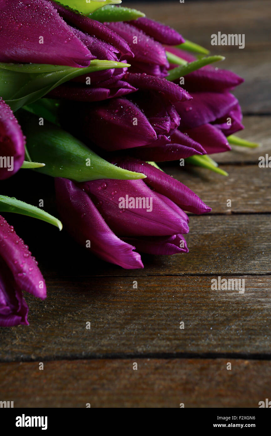 Lila Blüten auf den Brettern, Tulpen Stockfoto