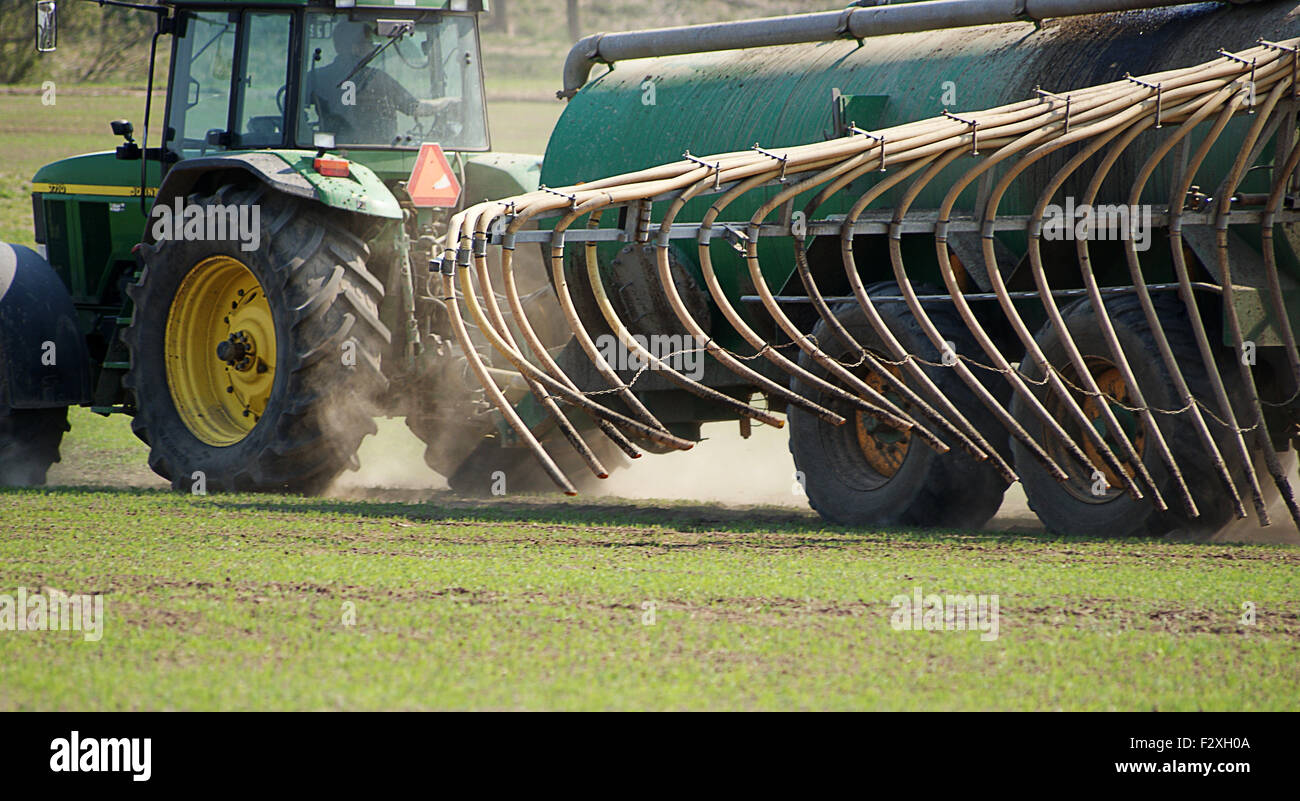 Düngung, Ausbreitung von Gülle durch Traktor über die Felder Stockfoto