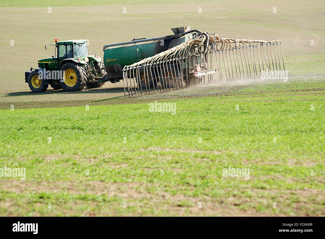 Düngung, Ausbreitung von Gülle durch Traktor über die Felder Stockfoto