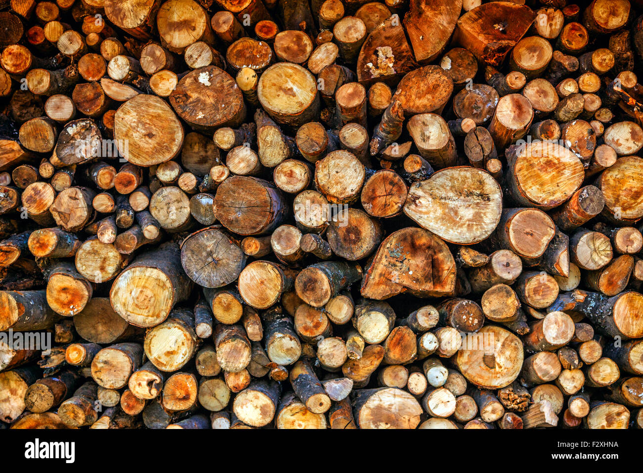 Trockenes Scheitholz meldet sich bereit für den winter Stockfoto
