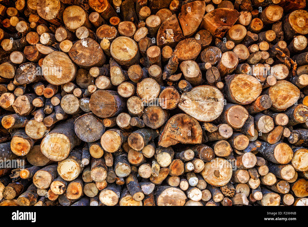 Trockenes Scheitholz meldet sich bereit für den winter Stockfoto