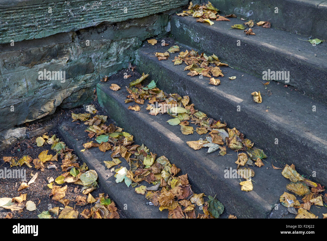 HERBSTLAUB AUF SCHRITTE, STEINTREPPEN, KIRCHE DES HEILIGEN CUTHBERT, EDINBURGH Stockfoto