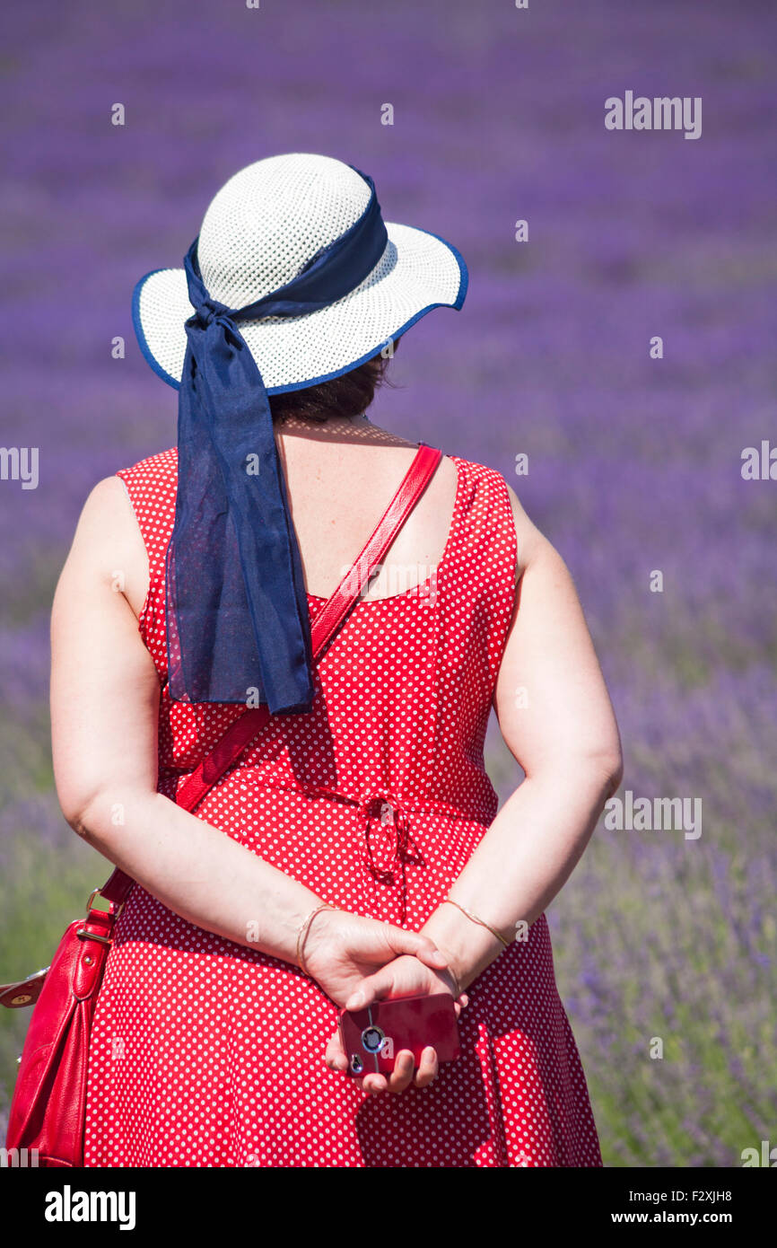 Frau mit Hut hält Apple iphone genießen Sie den Lavendel in Lordington Lavender Farm, Chichester, West Sussex UK im Juli Stockfoto