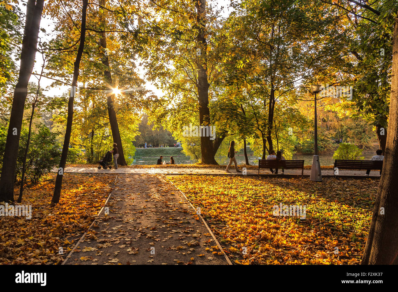 Indian Summer im Herbst Park - das letzte Lächeln der Herbst Stockfoto