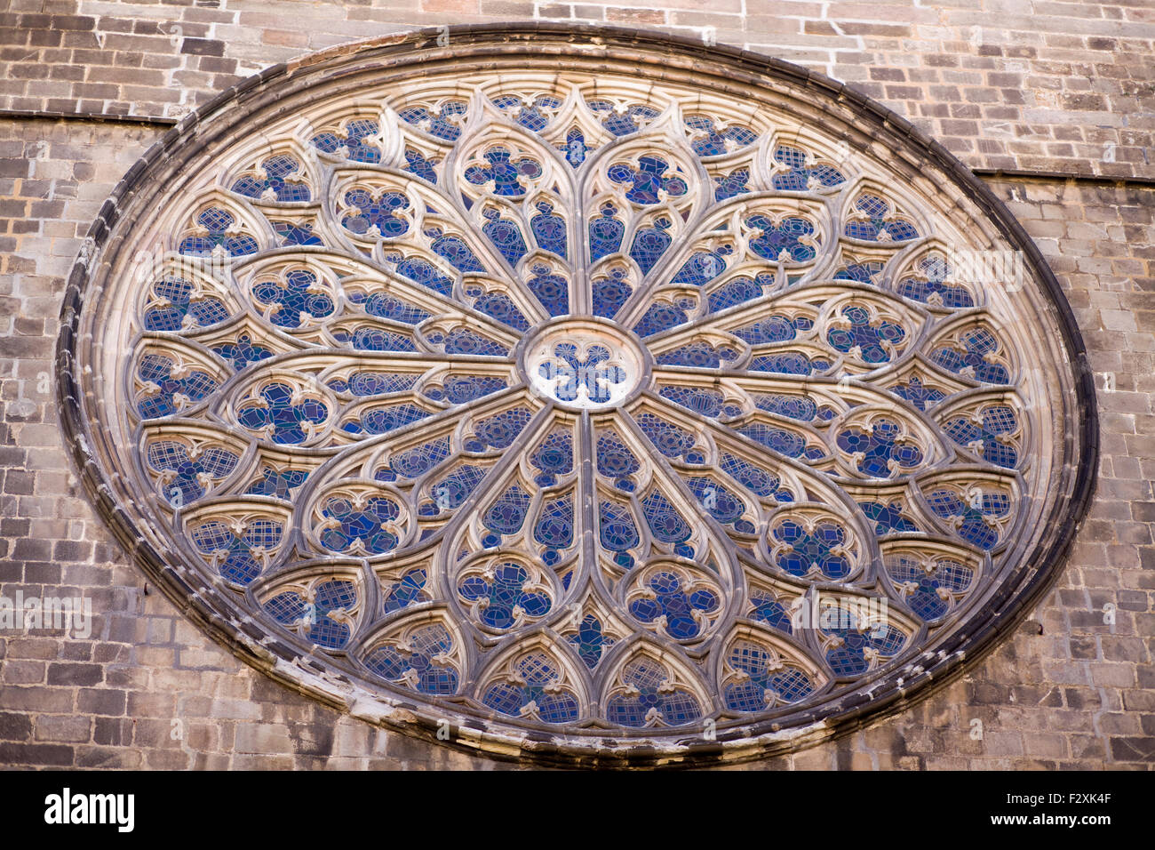 Rosette, Santa Maria del pi, Kirche, Barcelona, Spanien Stockfoto
