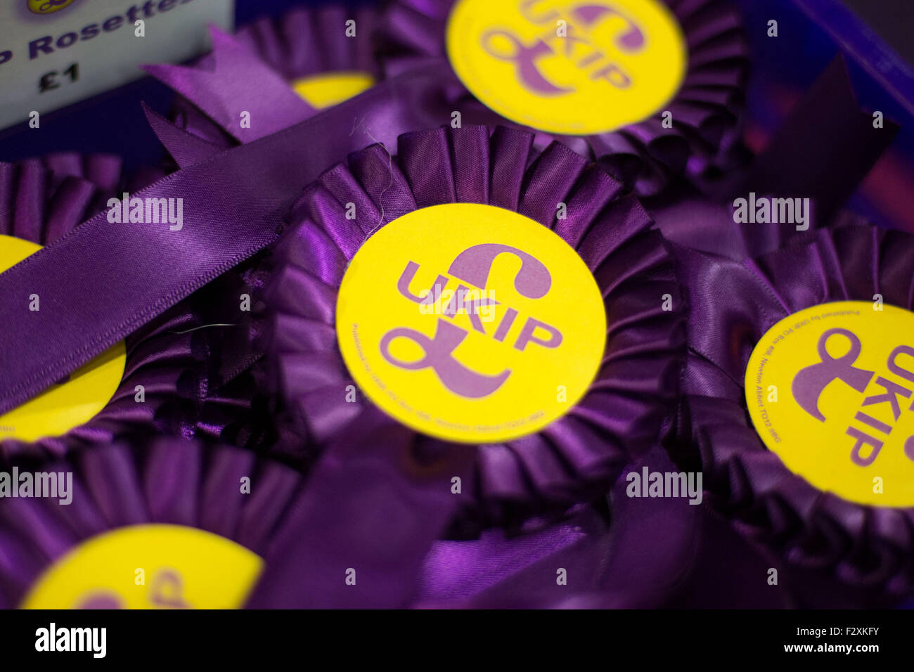 Doncaster, South Yorkshire, UK. 25. September 2015. Die ukip Rosetten an der ukip nationale Konferenz in Doncaster South Yorkshire, UK. 25. September 2015. Die jährliche Konferenz der Partei war die Bühne für die Enthüllung einer neuen Kampagne Kraft namens "Verlassen" der EU. Bestehend aus Interessengruppen und Think Tanks mit Tausenden Aktivisten zwischen Ihnen darauf abzielen wird, der Beziehungen der uk mit Brüssel zu beenden. Credit: Ian hinchliffe/alamy leben Nachrichten Stockfoto