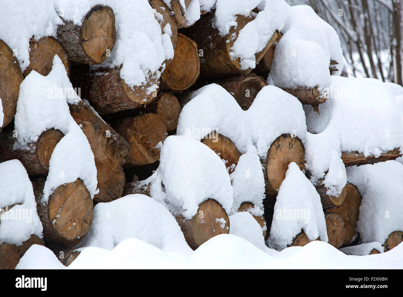 Schneebedeckte Stapel von Holz im Außenbereich Stockfoto