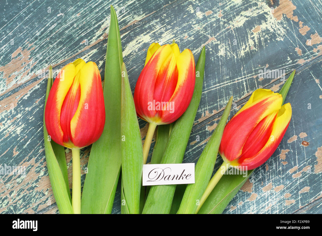 Danke (d.h. danke in deutscher Sprache) mit roten und gelben Tulpen Stockfoto