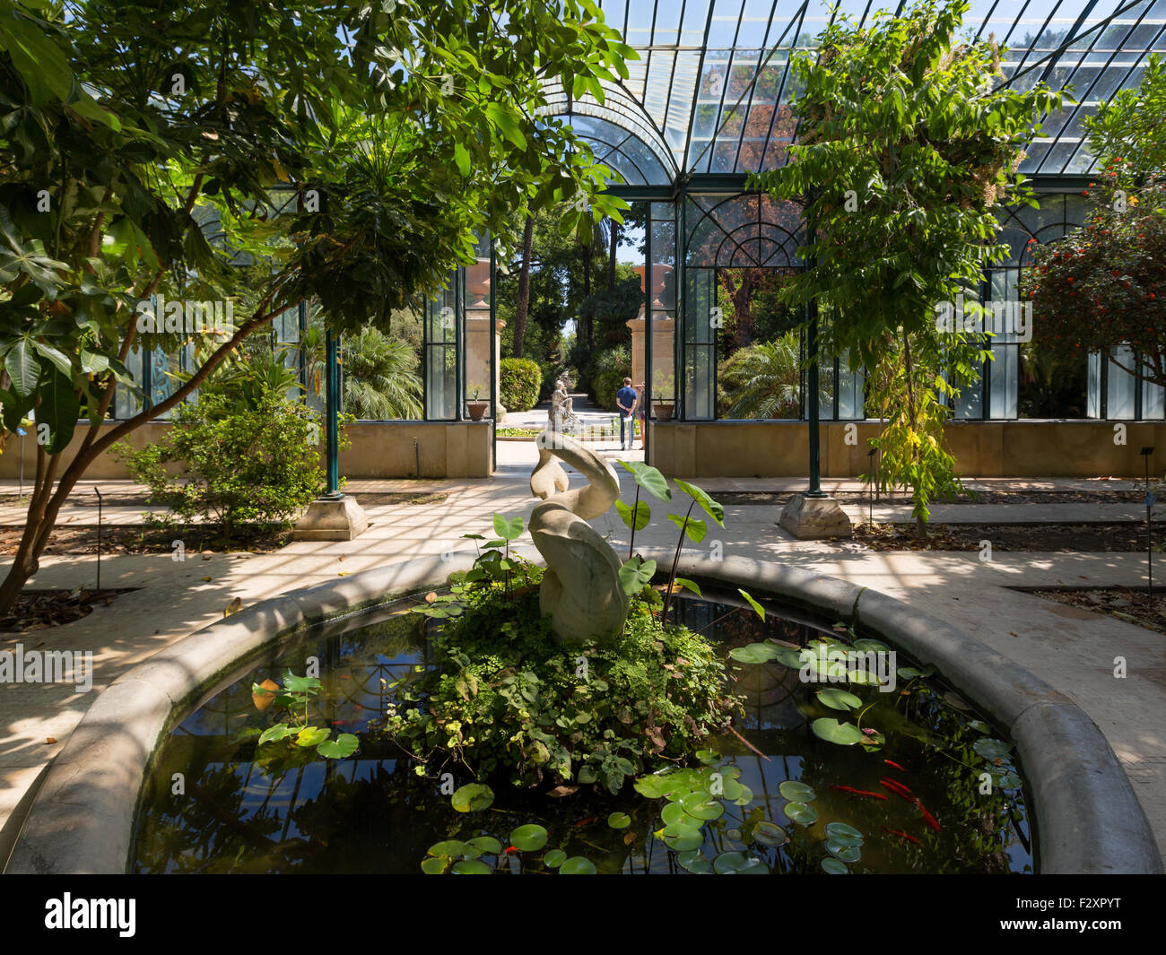 Palermo (Italien) - Botanischer Garten Stockfoto