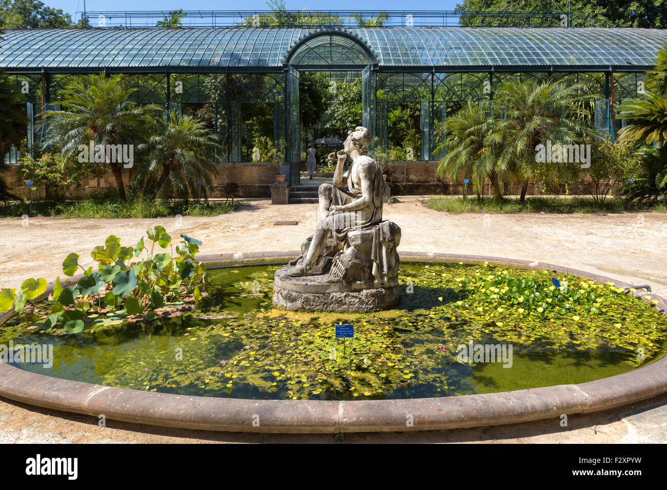 Palermo (Italien) - Botanischer Garten Stockfoto