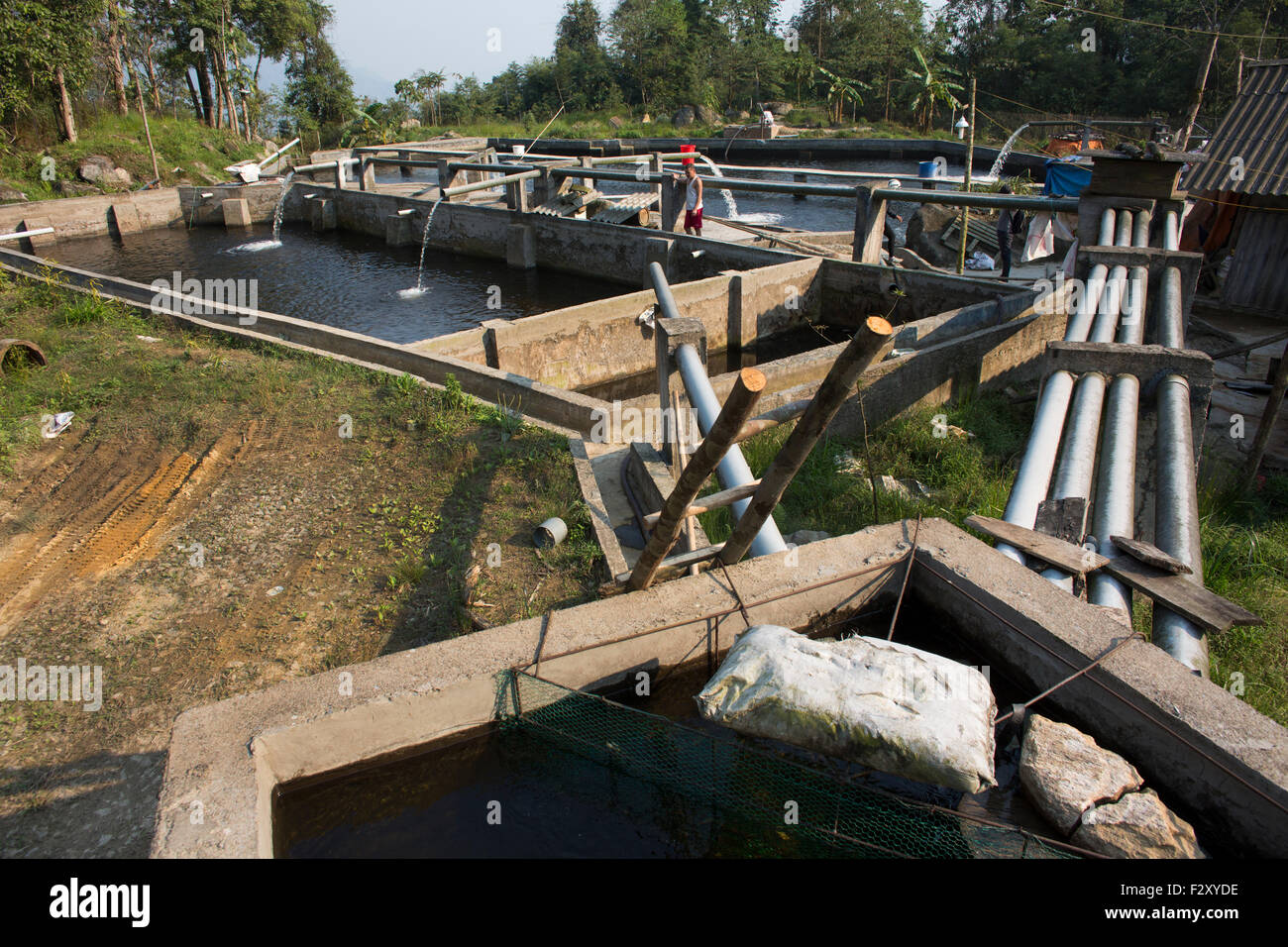 Fischfarm in Nordvietnam Stockfoto