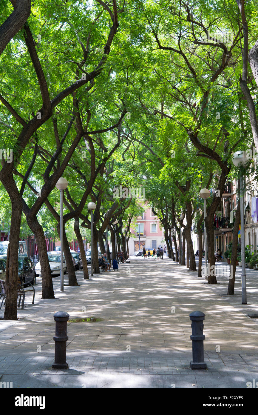Ruhigen von Bäumen gesäumten Straße Barcelona Seite Stockfoto