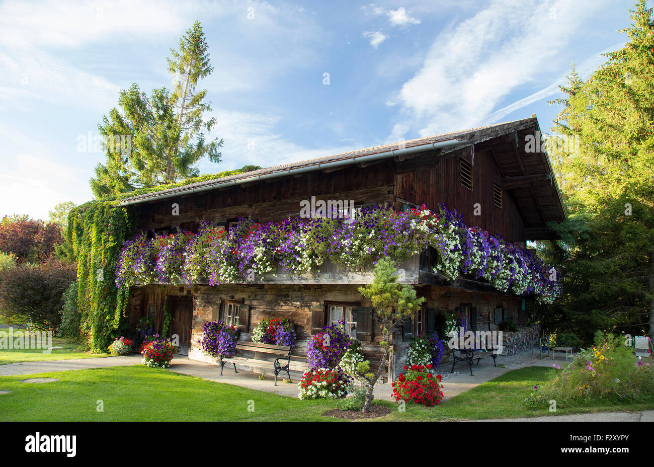 Bayerischen Bauernhaus abgedeckt in Blumen in der Nähe Starnberger fünf-Seen-Land Stockfoto
