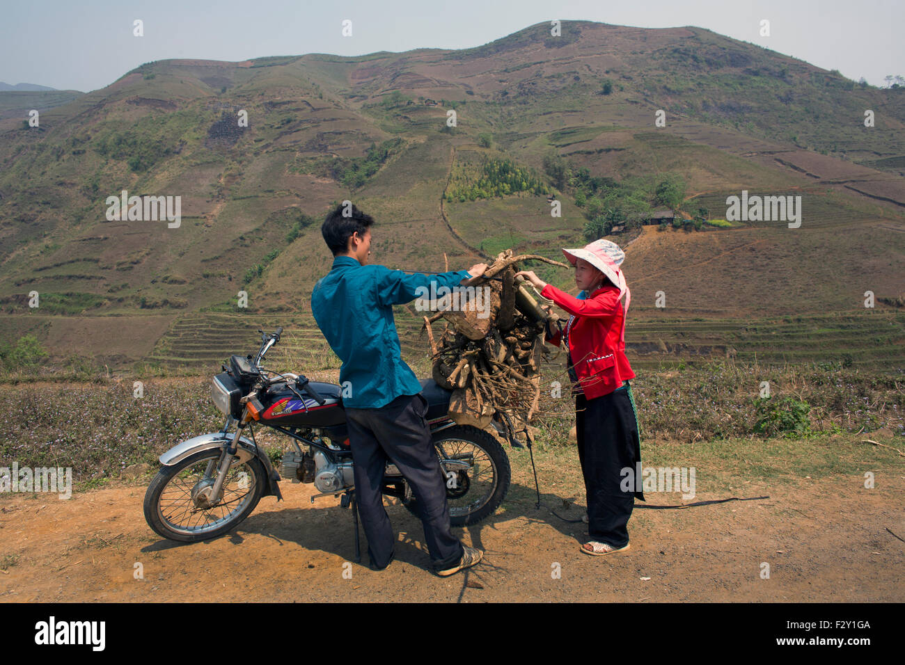 Brennholz-Sammlung in Vietnam Stockfoto