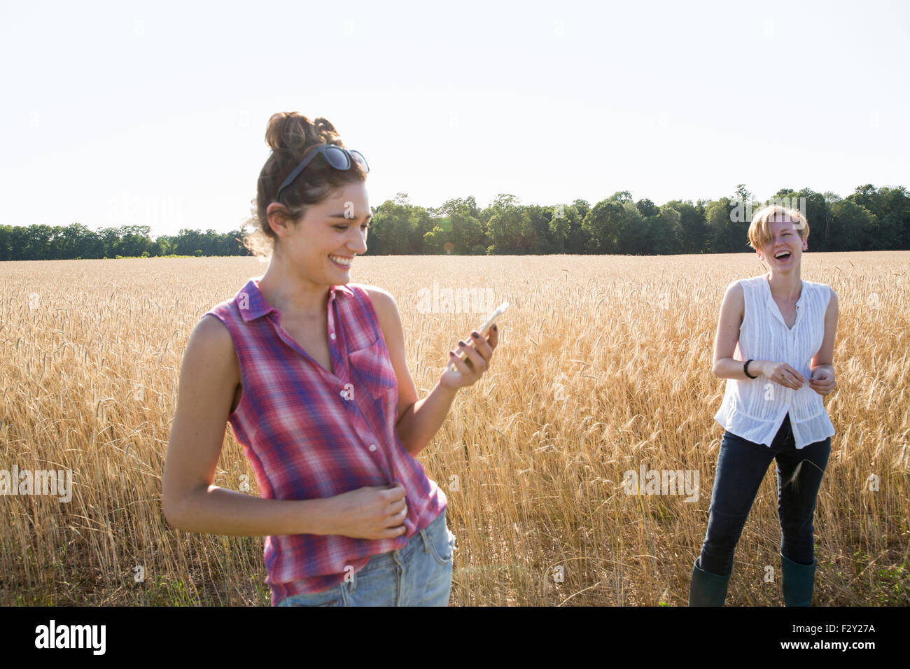 Zwei junge Frauen stehen in einem Maisfeld, einer in der Hand ihres Mobiltelefons. Stockfoto