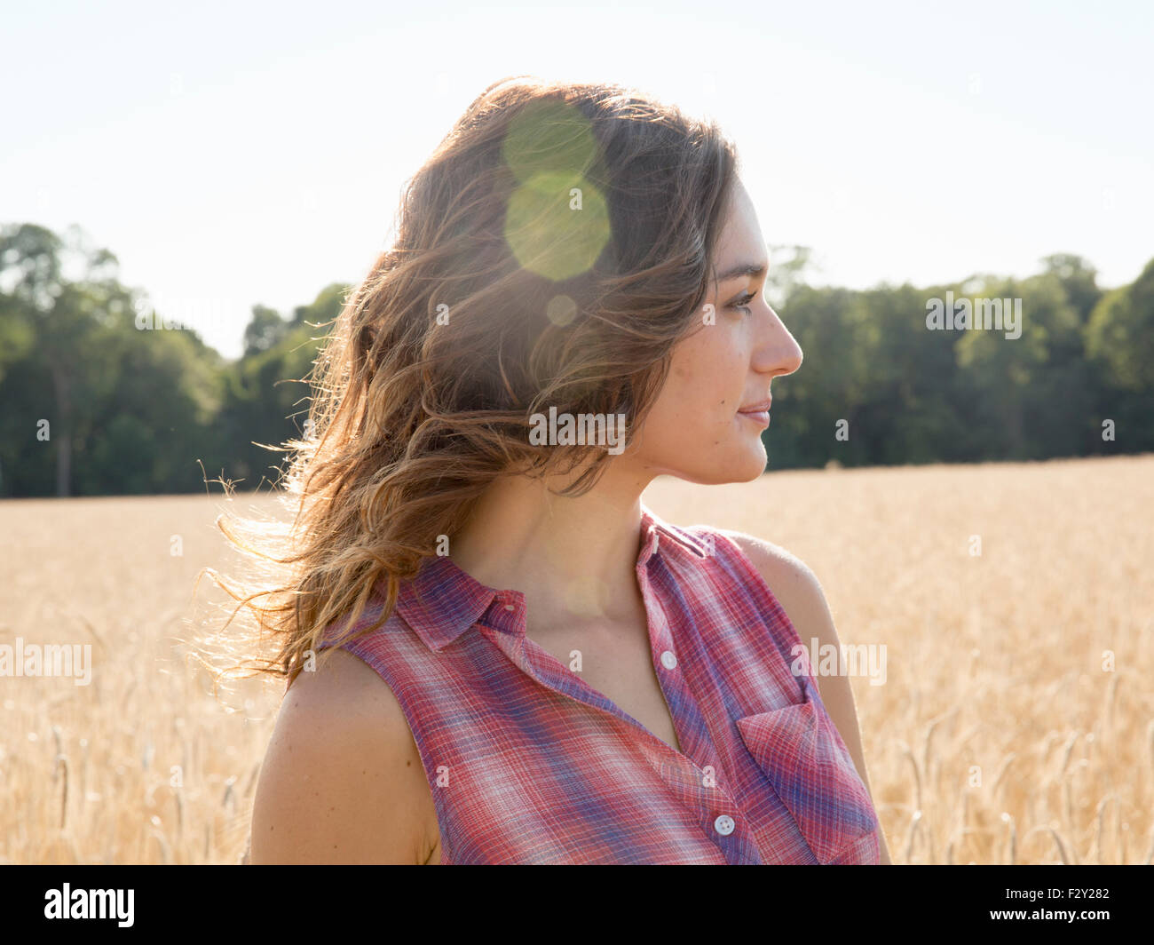 Eine junge Frau in einem Feld von hohen Reife Mais. Stockfoto