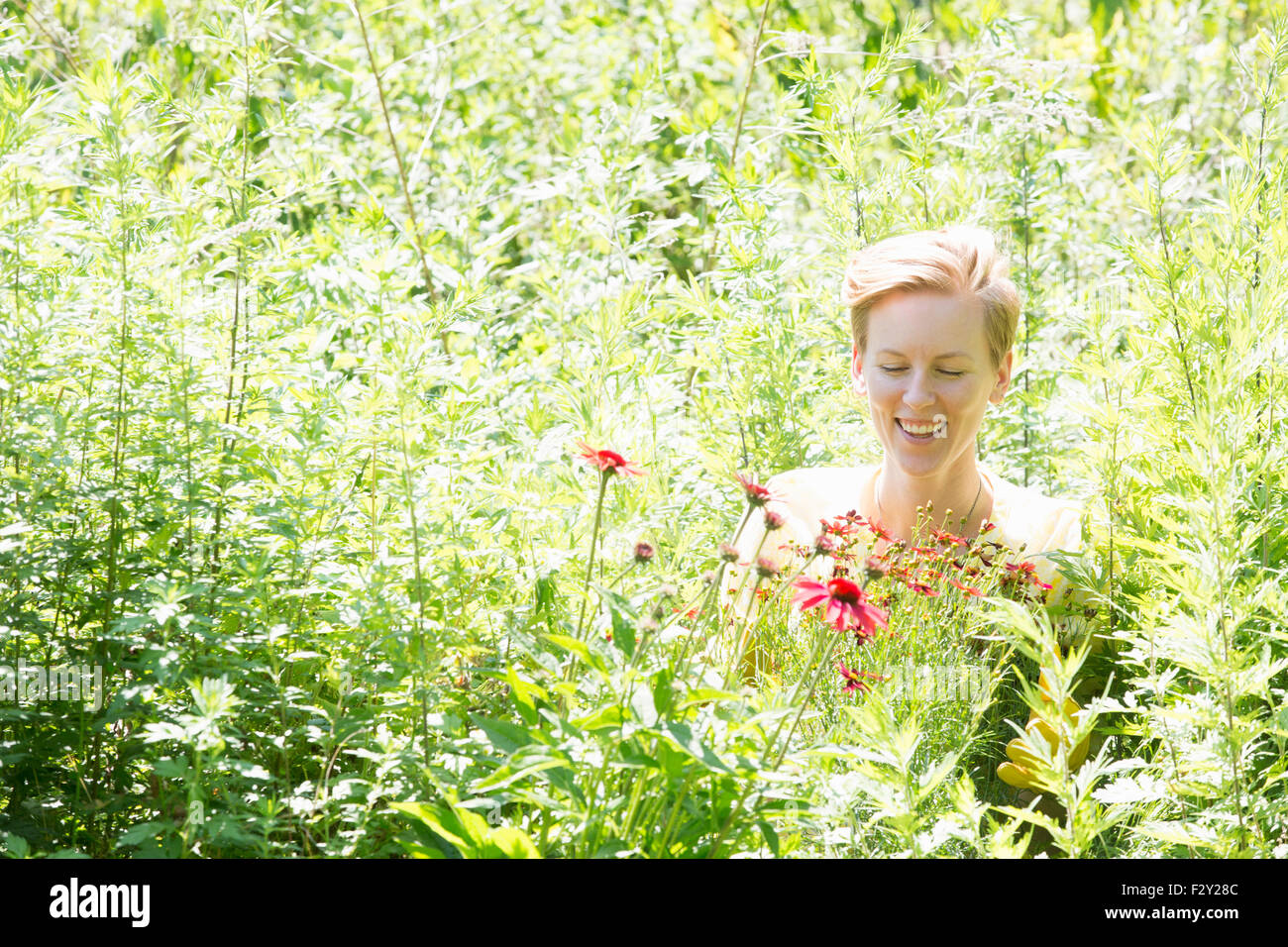 Eine Frau unter dichten Pflanzungen von Blumen und große grüne und blühende Pflanzen in einer kommerziellen Gärtnerei. Stockfoto